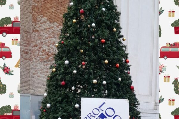 Albero di Natale Pro Loco Carpenedolo
